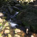 Bergwelt برونلاغ