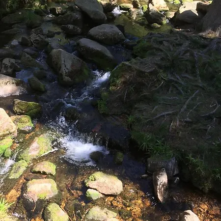 Bergwelt Braunlage